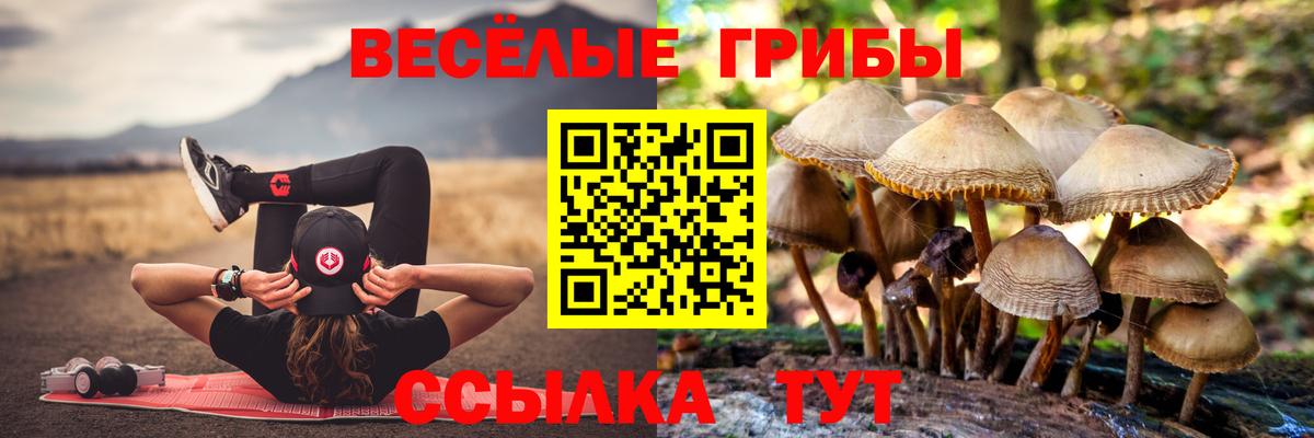 наркотики  Вход с VPN  Псилоцибиновые грибы ЛСД  Богданович  Псилоцибиновые грибы GOLDEN TEACHER 